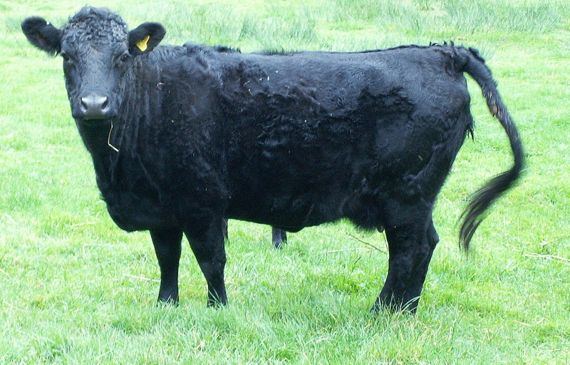 PICT0084.JPG