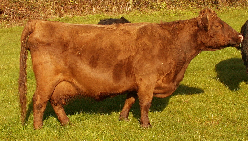 PICT0170.JPG