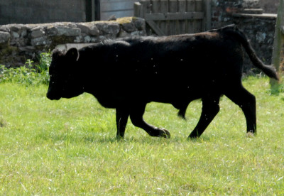 DSC_0092.JPG