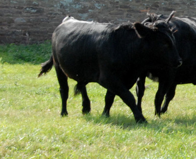 DSC_0074.JPG
