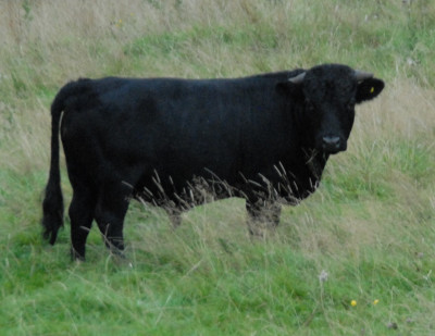 DSC_0014.JPG