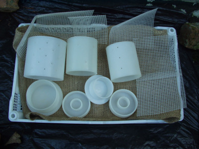 cheesemoulds2.jpg