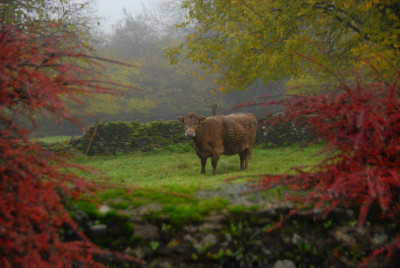 DSC_0083.JPG