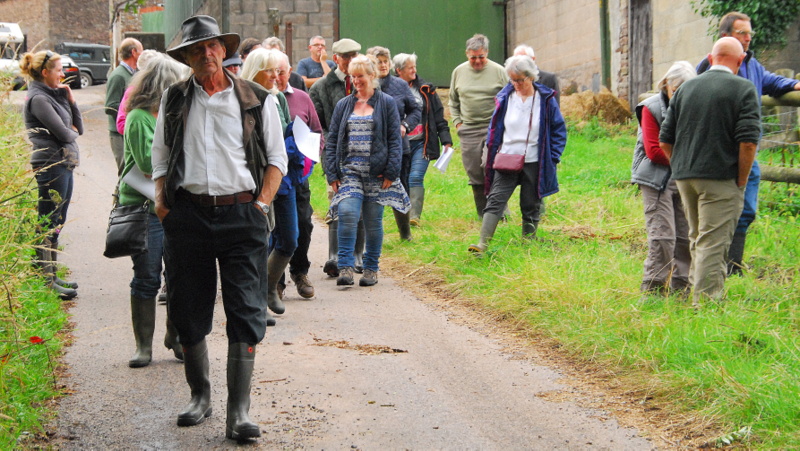 Walking back from the fields.